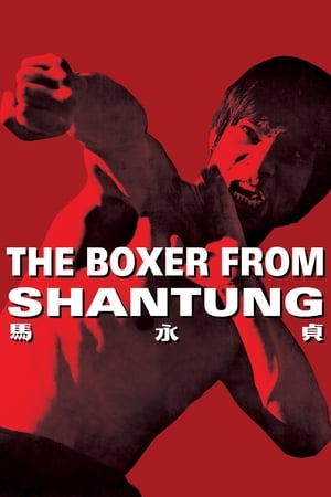 Boxer from Shantung (1972) Hindi Dual Audio | Hindi Dubbed Movie BluRay 400MB