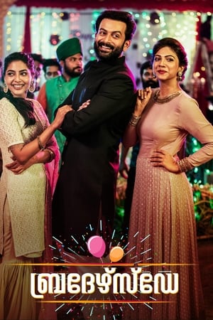 Brother’s Day (2019) (Hindi – Malayalam) Dual Audio UnCut HDRip | Hindi Dubbed Movie – 480p