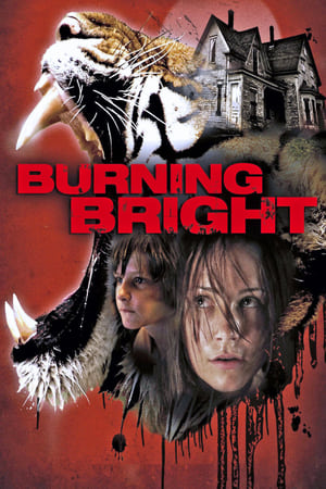 Burning Bright (2010) Hindi Dual Audio | Hindi Dubbed Movie BluRay 300MB