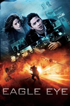 Eagle Eye (2008) Hindi Dual Audio | Hindi Dubbed Movie BluRay 330MB ESubs