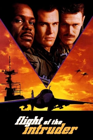 Flight Of The Intruder 1991 Hindi Dubbed | Hindi Dubbed Movie
