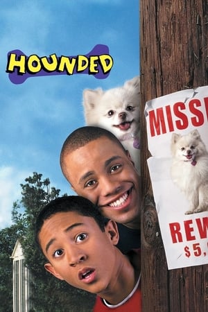 Hounded 2001 Hindi Dual Audio | Hindi Dubbed Movie BluRay [1.1GB]