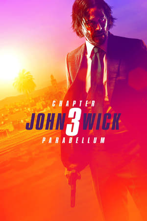 John Wick Chapter 3 Parabellum (2019) Hindi Dubbed | Hindi Dubbed Movie BluRay [1GB]