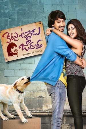 Kittu Unnadu Jagratha 2017 Hindi Dual Audio | Hindi Dubbed Movie UnCut HDRip [1.1GB]