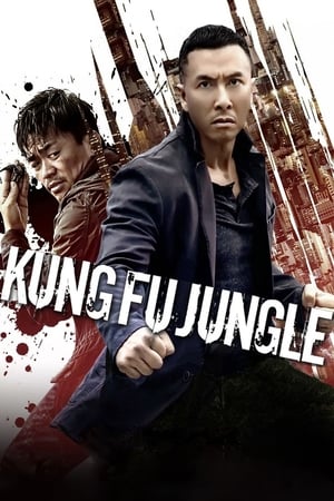 Kung Fu Jungle (2014) Hindi Dual Audio | Hindi Dubbed Movie BluRay 300MB