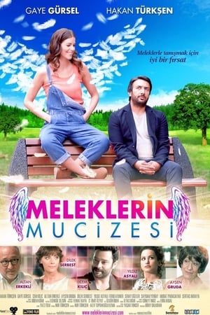 Meleklerin mucizesi (2014) Hindi Dual Audio | Hindi Dubbed Movie Web-DL 280MB