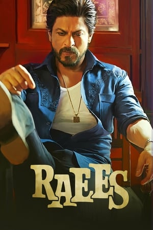 Raees 2017 Movie hevc | Hindi Dubbed Movie Download Bluray