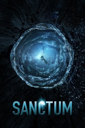Sanctum (2011) Hindi Dual Audio | Hindi Dubbed Movie BluRay [750MB]