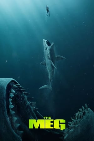 The Meg (2018) Hindi (Org) Dual Audio | Hindi Dubbed Movie BluRay 350MB