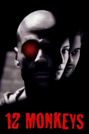 Twelve Monkeys (1995) Hindi Dual Audio Movie | Hindi Dubbed Movie BluRay - 2.9GB