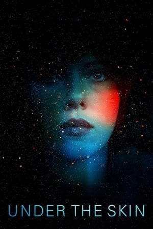 Under the Skin 2013 Hindi Dual Audio | Hindi Dubbed Movie BluRay 350MB